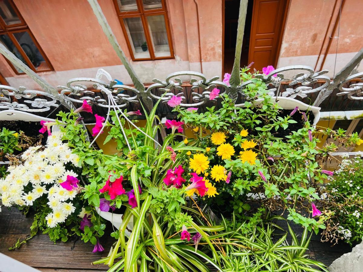 Apartment In The City Center Mini Ивано-Франковск Экстерьер фото